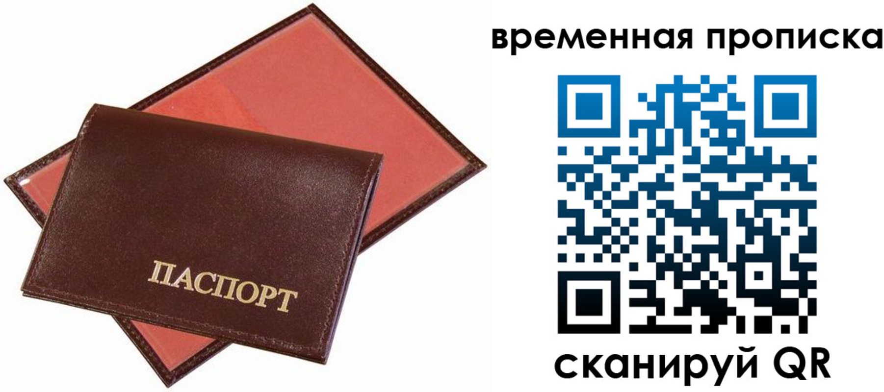 прописка в квартире в Мытищах