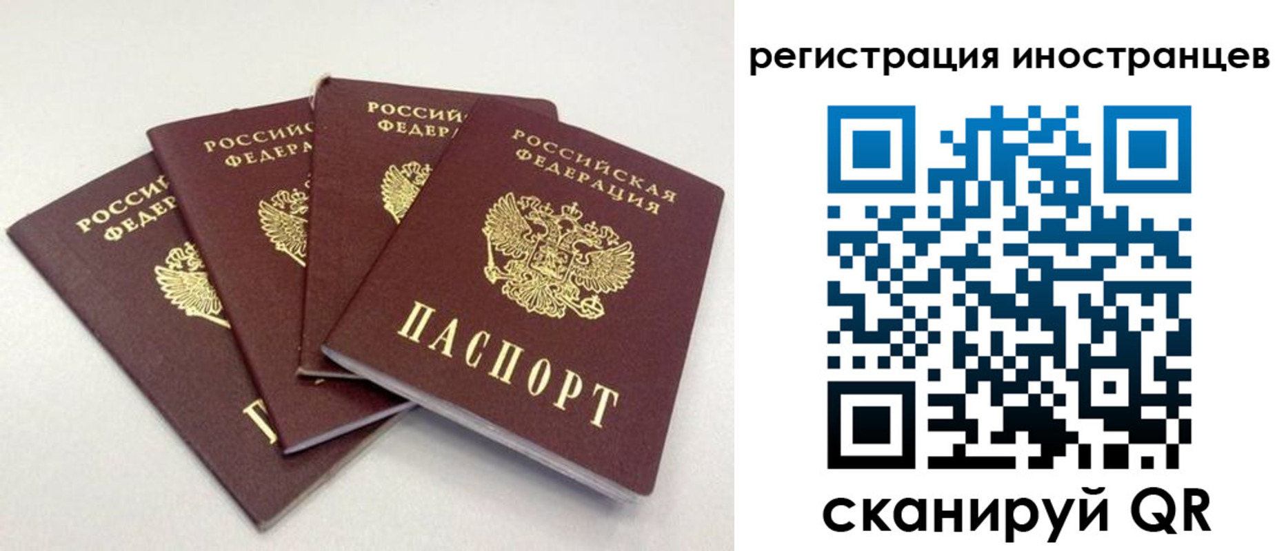 временная регистрация для школы в Мытищах